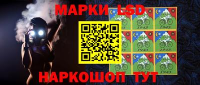 ПСИЛОЦИБИНОВЫЕ ГРИБЫ Заволжье
