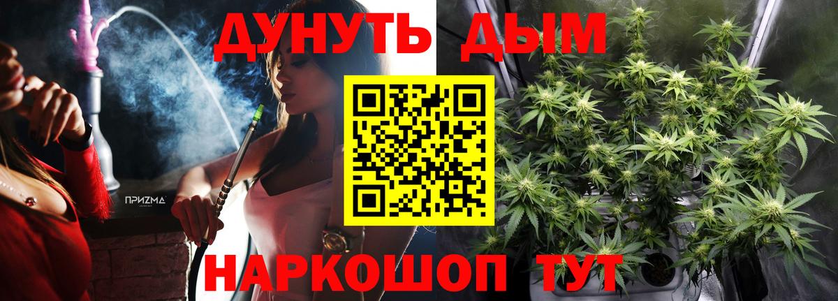 Каннабис планчик Кызыл